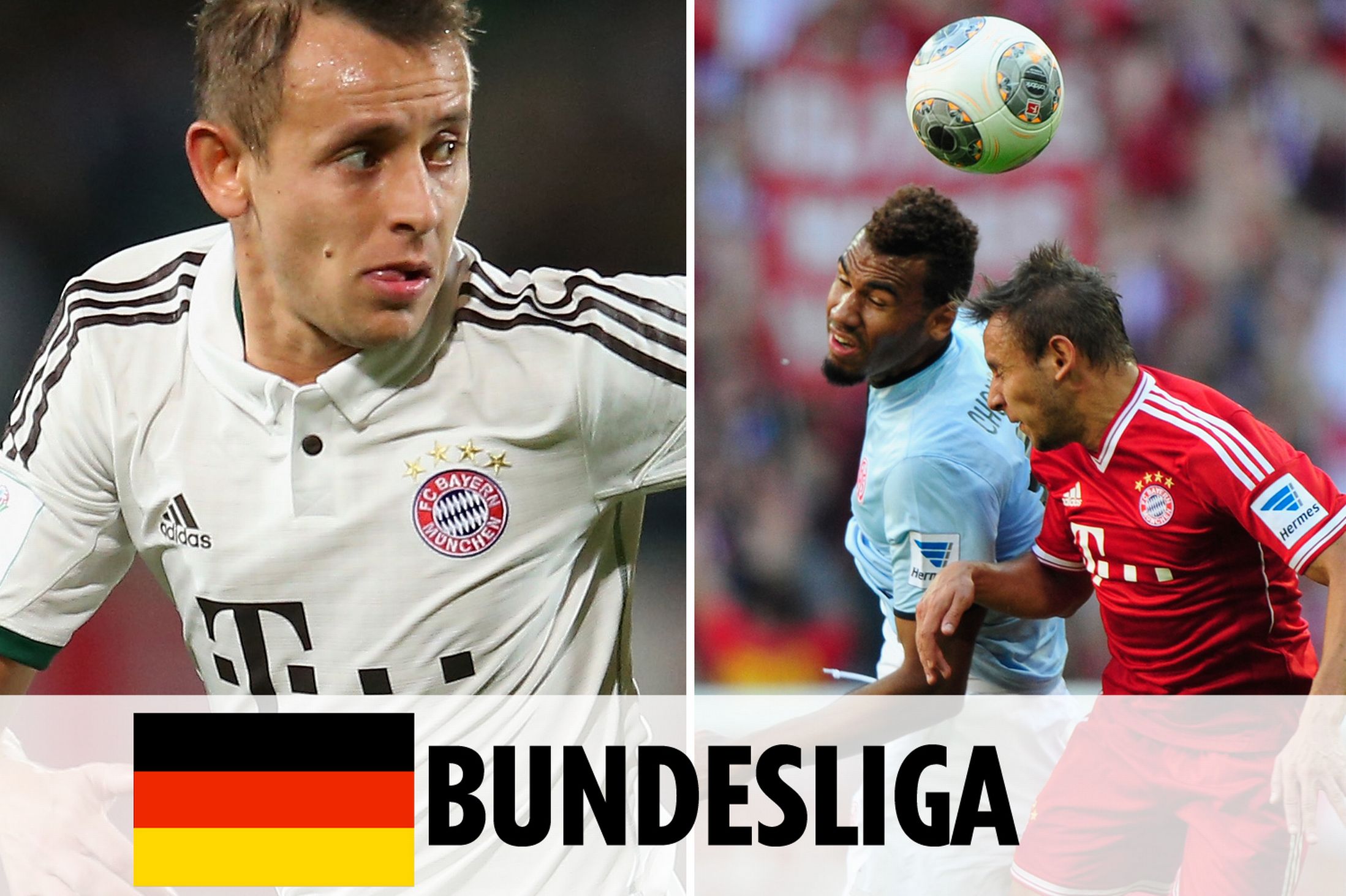 奏的能力 奏的能力