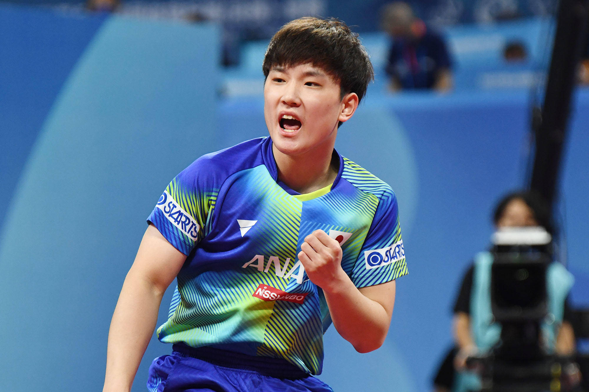 他们展现了 他们展现了