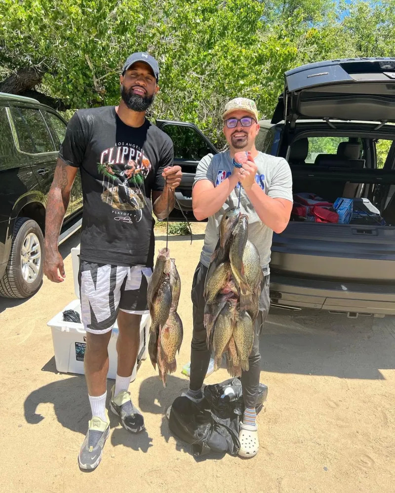 他效力于托 他效力于托